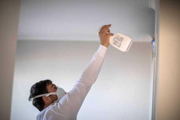 Best Black Mold Removal  in South Connellsville, PA