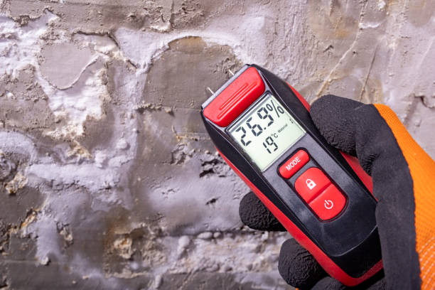 Best Mold Removal Company Near Me  in South Connellsville, PA