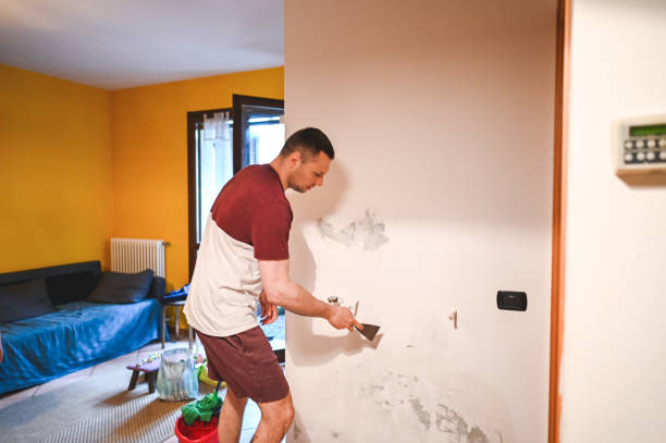 Best Attic Mold Removal  in South Connellsville, PA